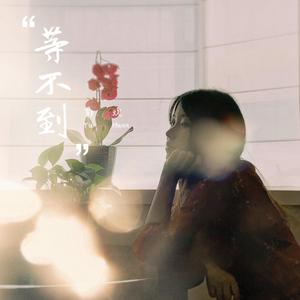 毛茸茸的大骚屄视频
