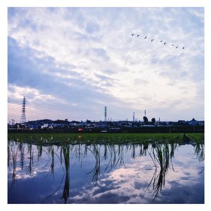 毛茸茸的大骚屄视频
