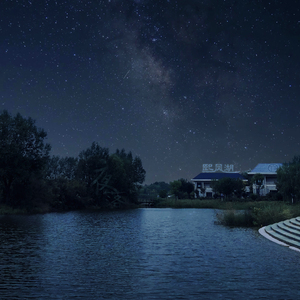 毛茸茸的大骚屄视频
